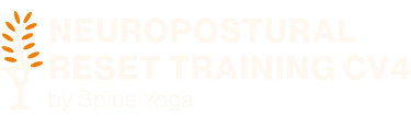 Neuropostural  Reset Protocol